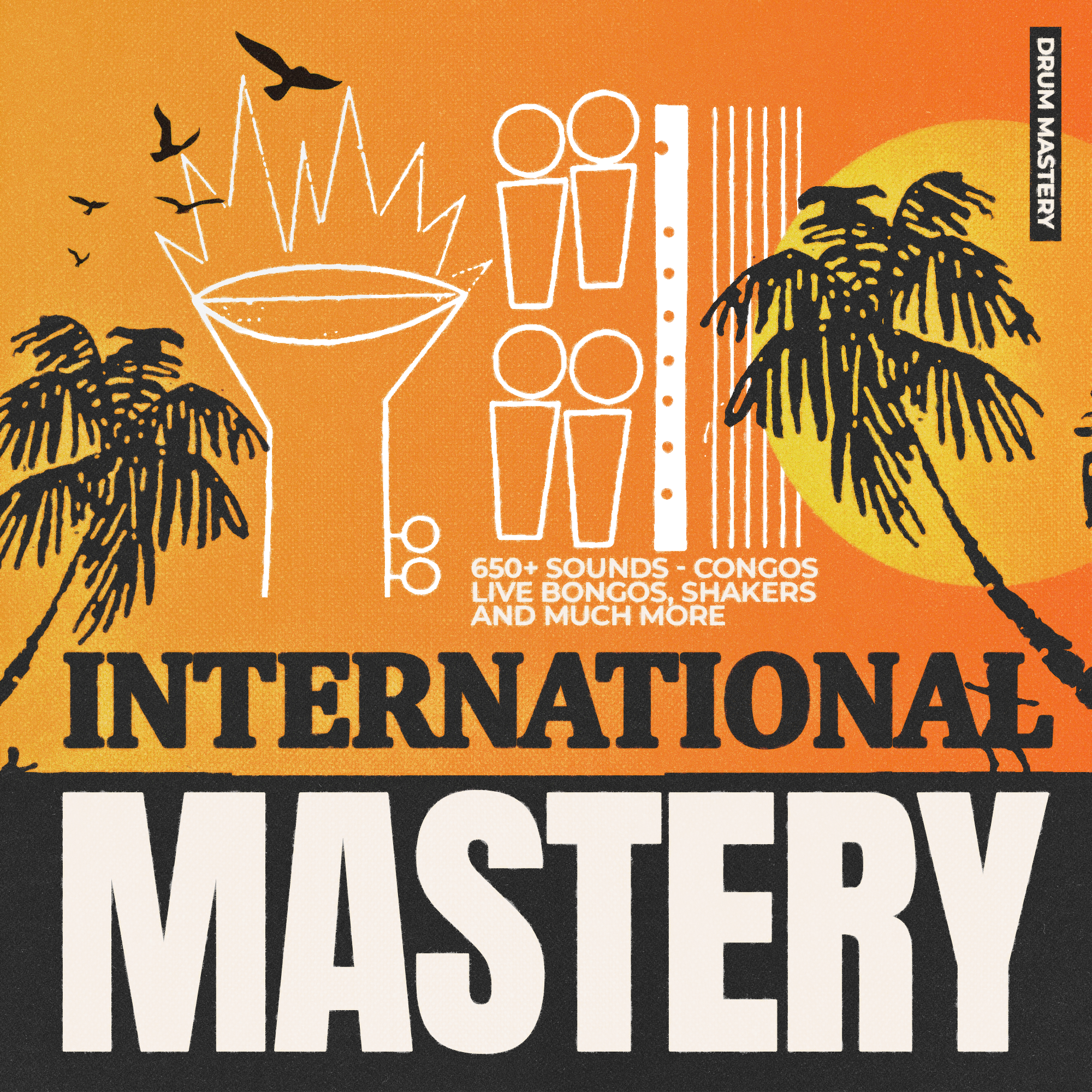 🥁 KXVI - "INTERNATIONAL MASTERY" DRUM SUITE