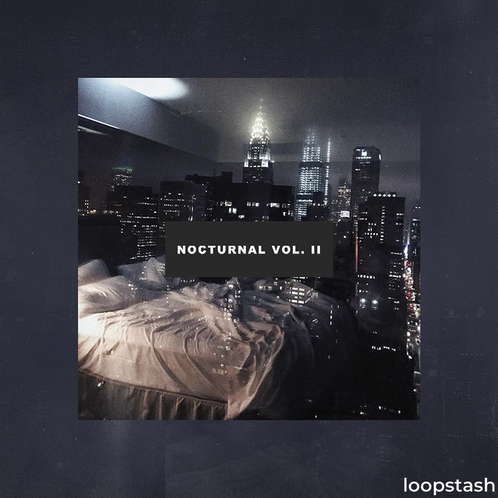 🎹 🎤 GABE LUCAS - NOCTURNAL LOOP KIT VOL. 2