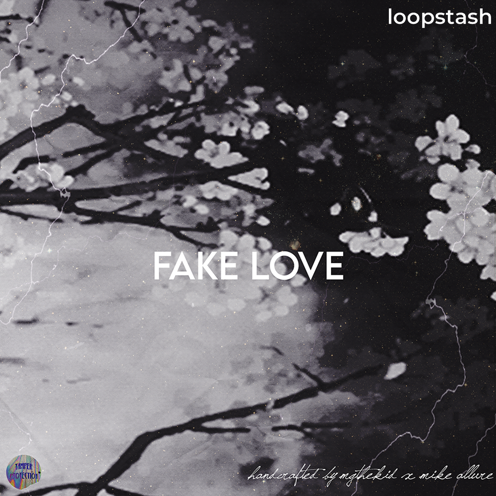 🎸 MIKE ALLURE x MGTHEKID - FAKE LOVE LOOP KIT 1